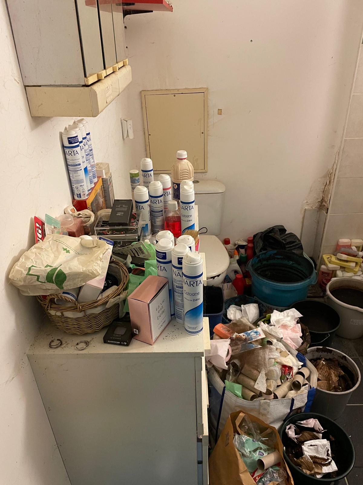 Quels risques juridiques si on ignore un logement Diogène ? IMG 20241126 WA0039