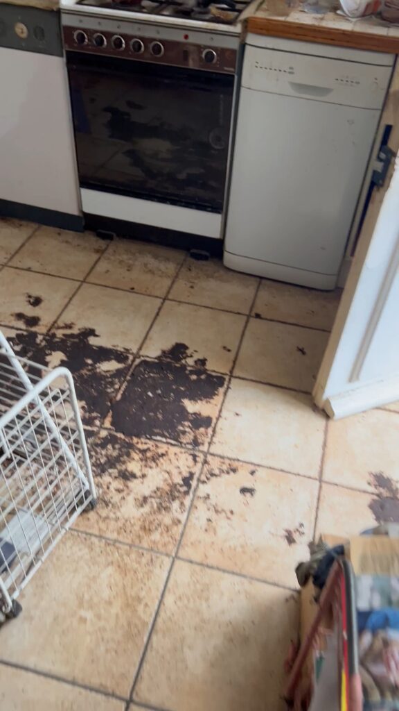 IMG_5617.mov_snapshot_00.22.181 IMG 5617.mov Snapshot 00.22.181 576x1024